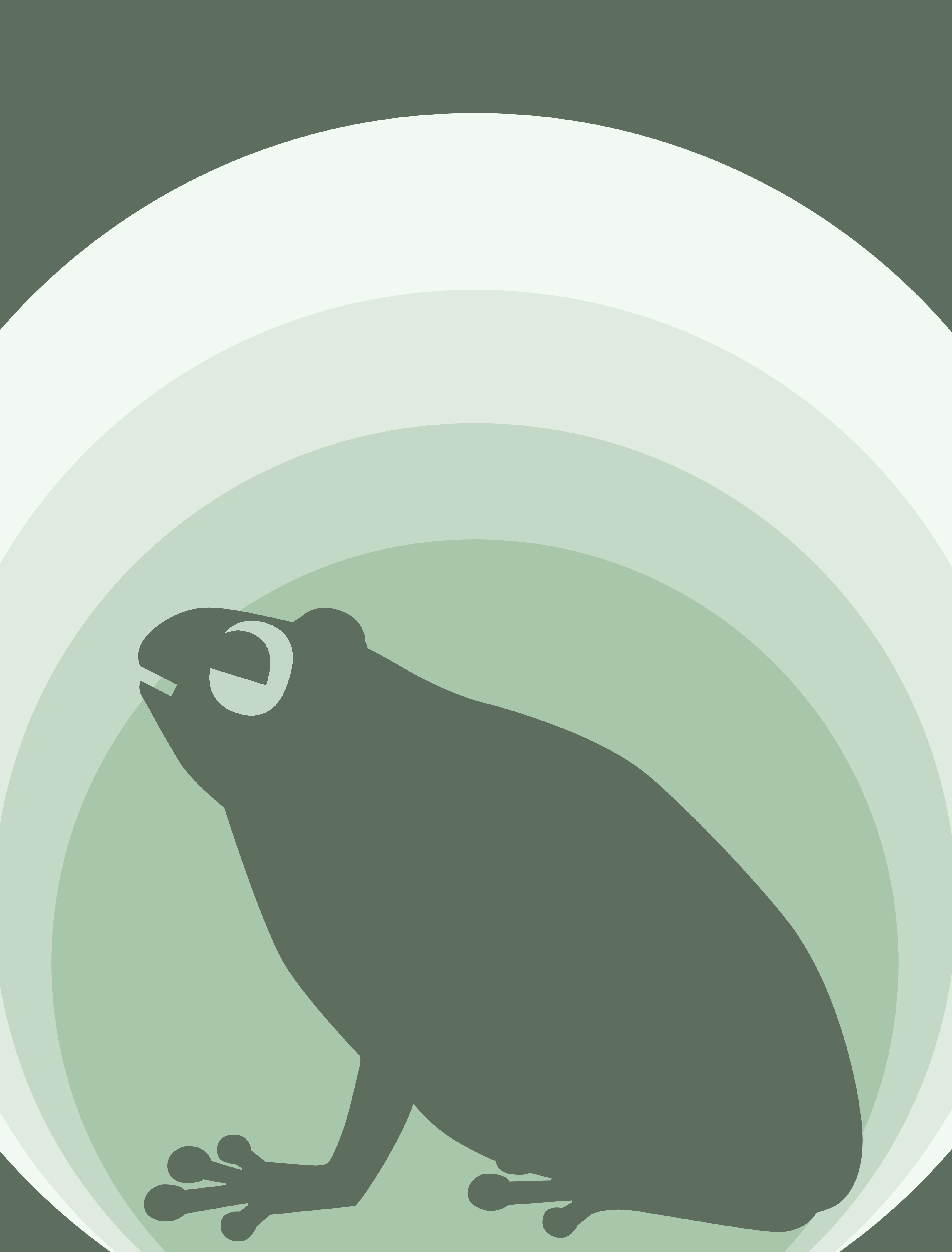 Frogiam – hand-printed frog illustration